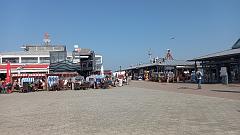 Sylt (99)